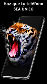 Imagen de la captura de pantalla