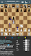 screenshot of Chess PGN Master