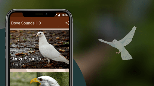 Dove Sounds Screenshot