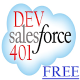 Dev 401 Test Salesforce icon
