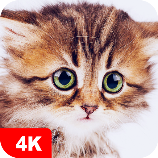 Cute Animal Wallpapers 4K 5.7.4 Icon