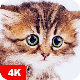 「Cute Animal Wallpapers 4K」のアイコン画像