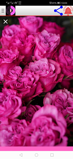 pink wallpaper aesthetic Screen 2
