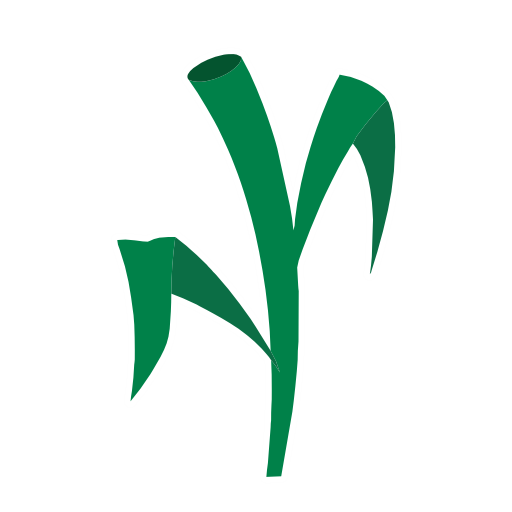 Guía de Campo - AIPSA logo