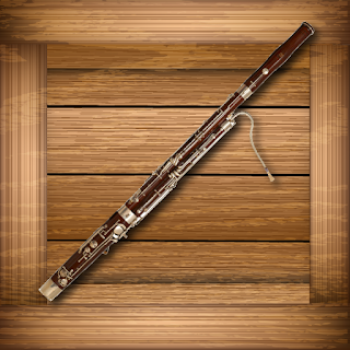 Toddlers Bassoon