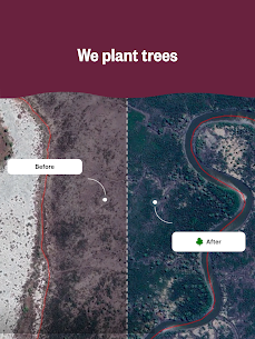 Ecosia: Browse to plant trees. 10