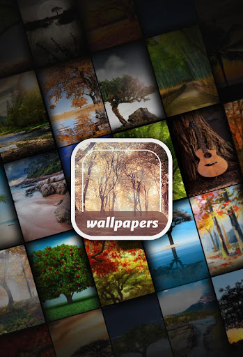 Your wallpapers 4K with Trees