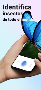 Descargar Picture Insect Premium APK 2025 – Insectos ID 1