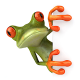 Funny Frogs Wallpaper icon