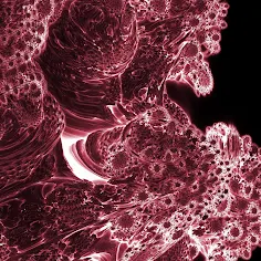 f43m: Test_DF_04 - Screenshot 2