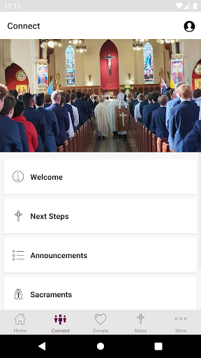 St Patricks Cathedral NZ Screen 2