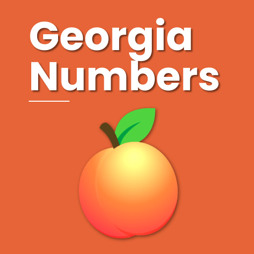 Georgia: Numbers & Results  Icon