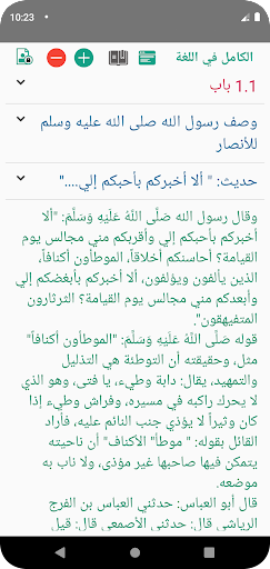 الكامل في اللغة والأدب