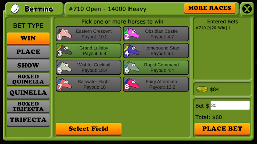 Hooves of Fire - Horse Racing Screen 3