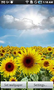 Sunflower LW Free + weather Screenshot