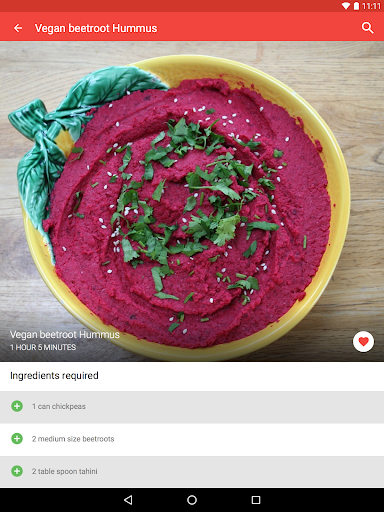 Screenshot of Vegetarian Recipes App