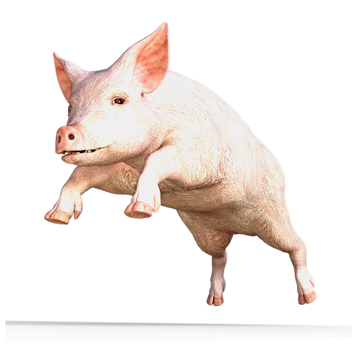 Pig Snort Sound logo