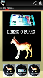 DINERO O BURRO