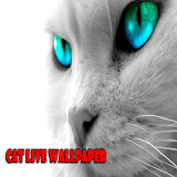 cat live wallpaper icon