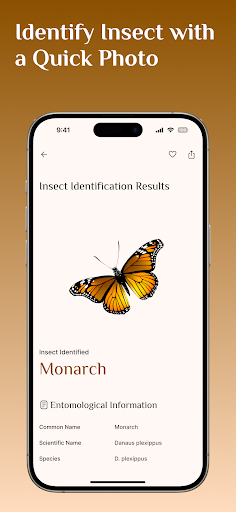 Bug Identifier App, Spider Id Screen 3