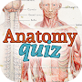 Anatomy Of Human Body Quiz