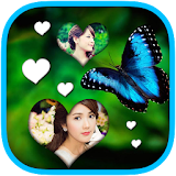 Butterfly Frames 360 icon