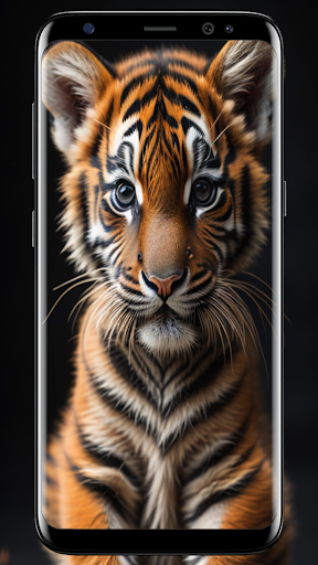 Android application Baby Tiger Wallpapers 4k screenshort