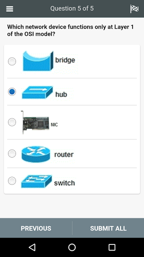 CFE All-in-One Exam Screen 3
