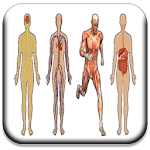 Cover Image of Download All Body Systems 2.2 APK
