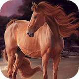 Horse at the sea LWP icon