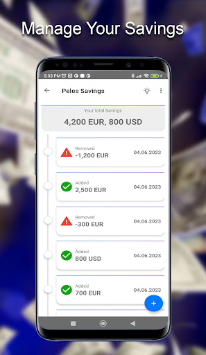 Peles Savings Screen 2