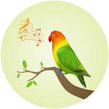 Lovebird Song icon