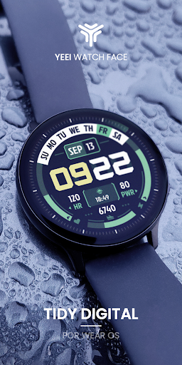 Tidy Digital Watch Face