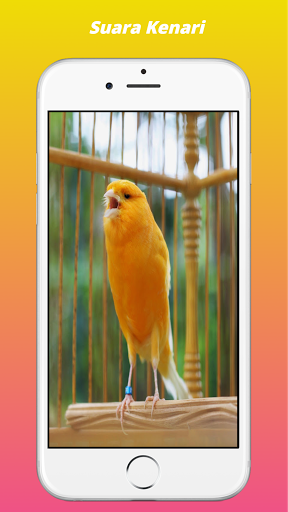 Masteran Kicau Burung