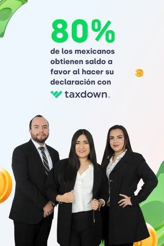 TaxDown Screen 2