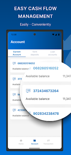 VIB Corp screenshot 4