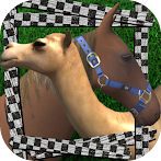 FeriaRacing