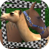 FeriaRacing