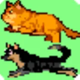 Cat and Dog Run on Screen icon