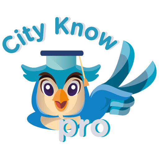 City Know Pro 2 logo