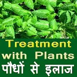 Treatment by Plant icon