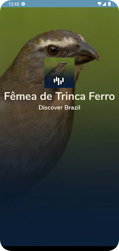 Android application Canto Fêmea de Trinca Ferro screenshort