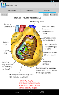 Anatomy Lectures - the heart