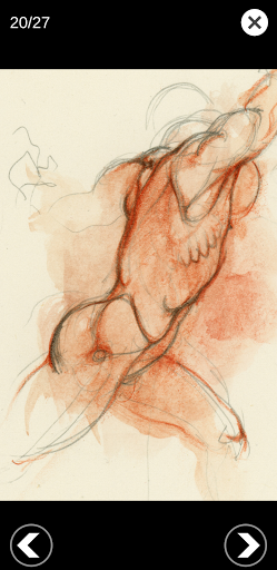 Screenshot of 3D Anatomy for the Artist