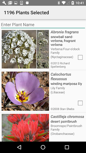 Utah Wildflowers Screen 3