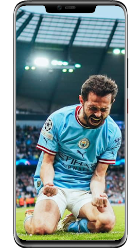 Android application Bernardo Silva Wallpapers screenshort
