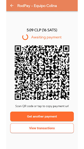 RodPay printer POS Screen 2