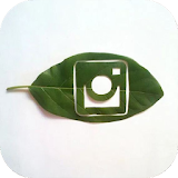 Leaf Craft Ideas icon