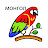 Icon image
