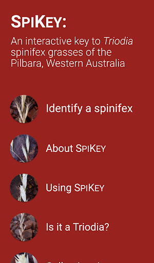 SPIKEY Screen 2
